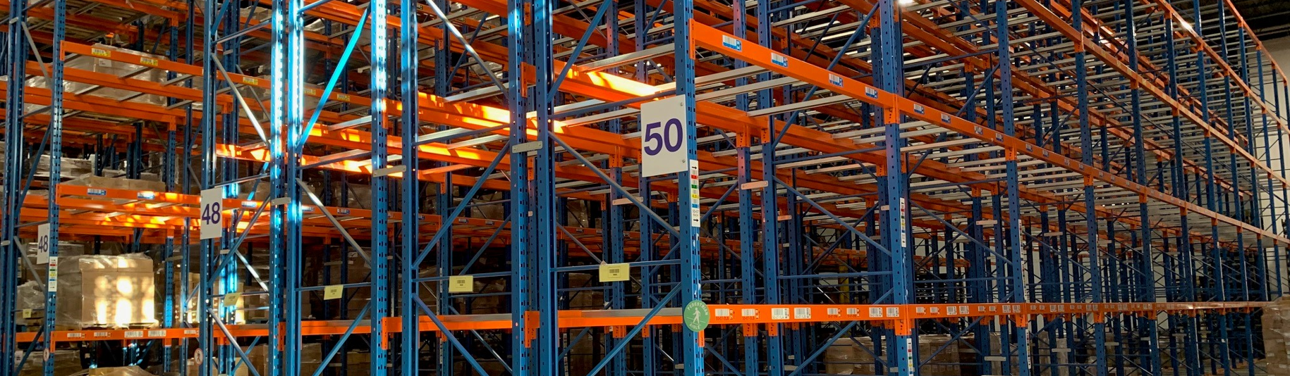 Canadian Logistics Expert Managing Customs, Transportation, and Distribution